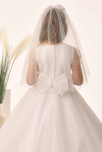 Style: Veil652
